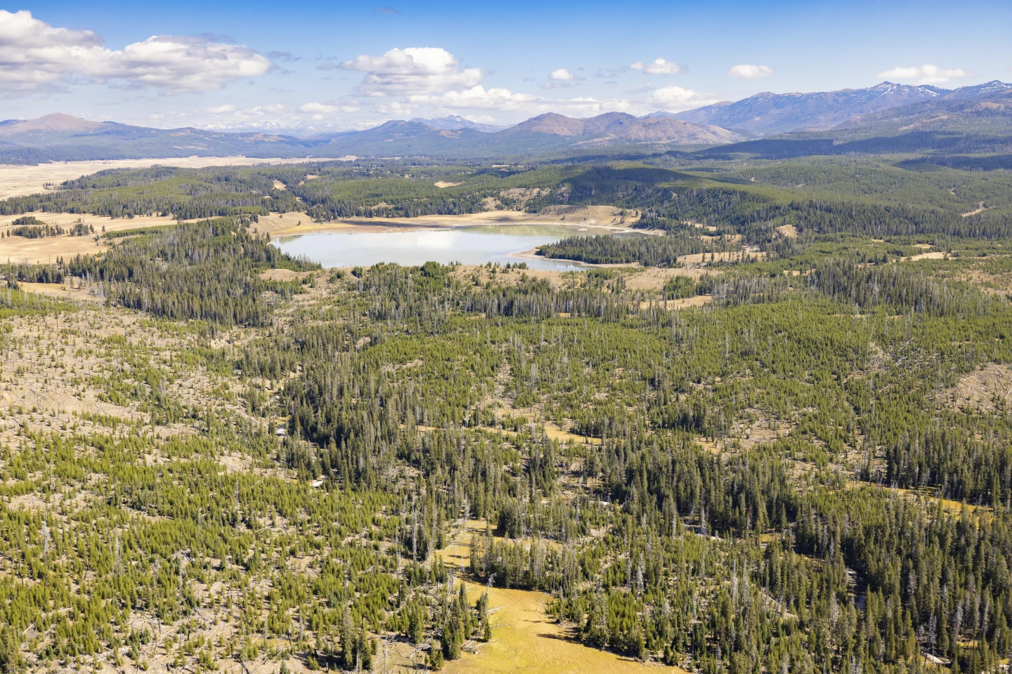 Former National Park Chiefs Urge Shutdown Precautions