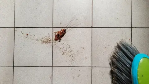 Flamethrower Fiasco: Woman Sets Apartment Block Ablaze Trying to Kill Cockroach