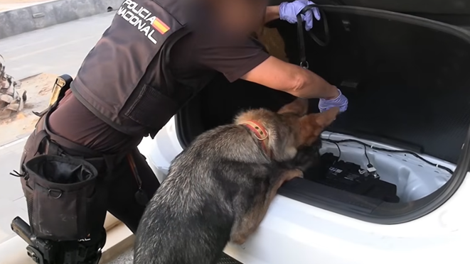 Massive Smuggling Racket Shattered: 78 Arrests in Spain and Algeria