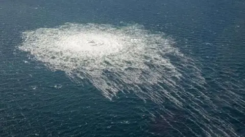 Ukrainian Ex-Military Officer Claims Coercion in Prison Over Nord Stream Attack