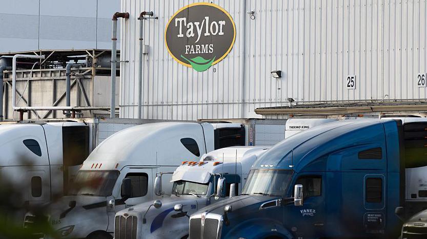 False Positive Uncovers U.S. Lettuce Outbreak Grown by Taylor Farms