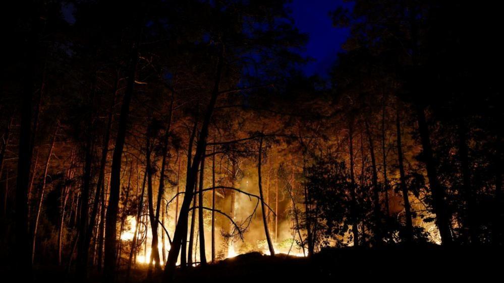 French Firefight: Paris Region Receives Aerial Assault as Wildfire Ravages Fontainebleau