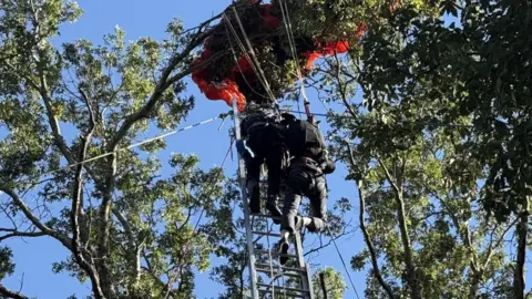 Tragic Skydiving Accident Claims Life of Nashville Instructor