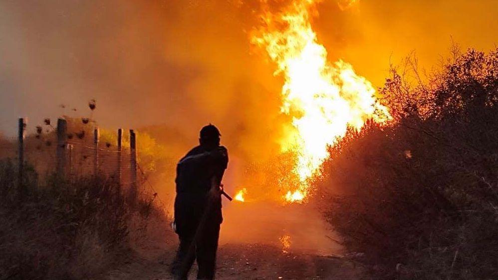 Algerian President Pushes Death Penalty for Arsonists Amid Deadly Wildfires