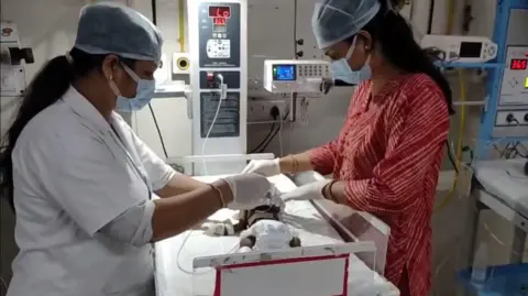 Baby Girl Buried Alive in India Found Fighting for Survival