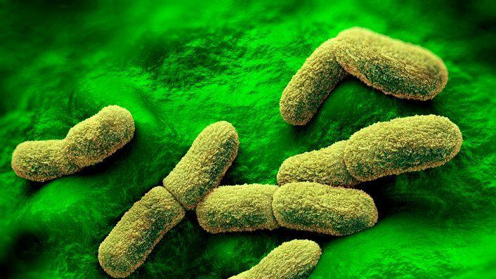 US Eyes Potential Plague Spread After Russian Lab Technician’s Death