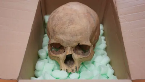A Skull Returned: Tourist Makes Amends 60 Years Later