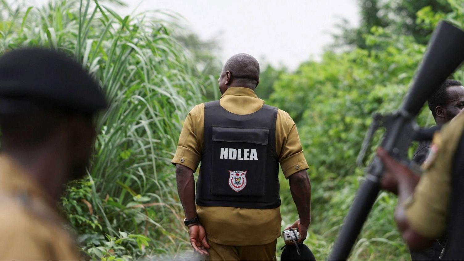 From Mexico to Nigeria: The New Front of Meth Production