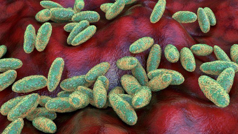 WHO Calls for More Info After Russian Plague Lab Worker’s Fatal Incident