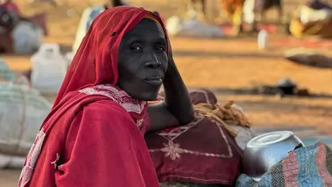 Echoes of Genocide: Systematic Killings in Sudan's El-Fasher