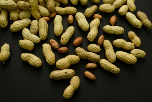 Early Peanut Introduction Reduces Allergies in Children: Study Reveals