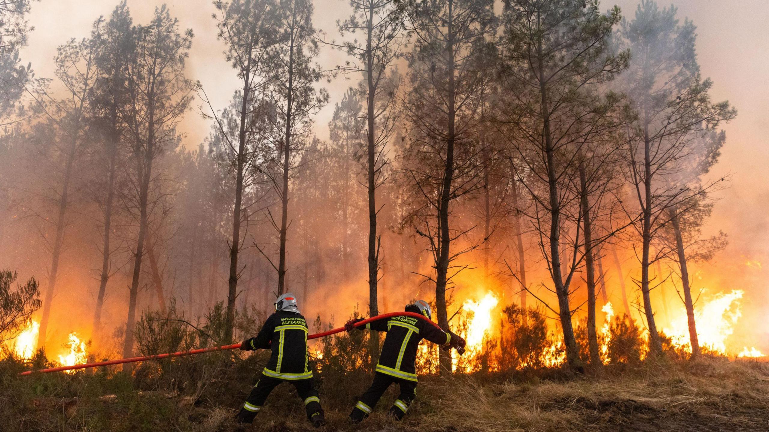Wildfires in Bordeaux and Spain ignite fear, residents describe "wall of flames"