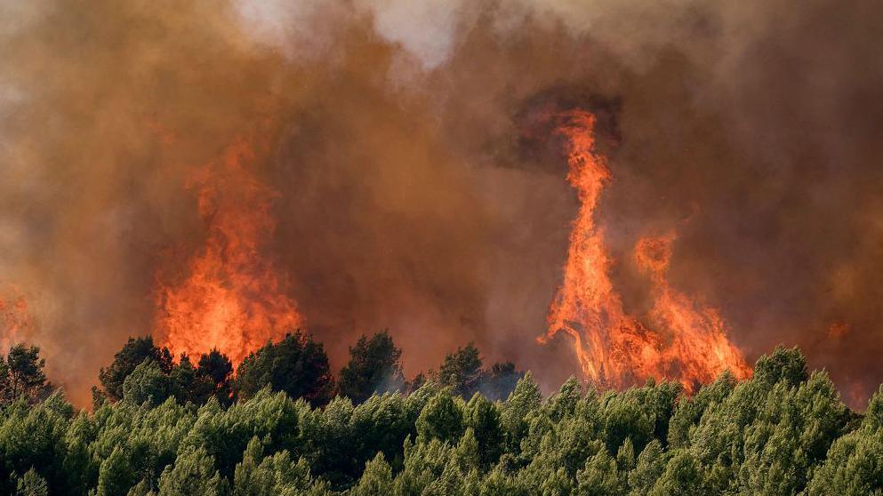 France Faces 2,025 Excess Deaths as Europe Binds to Record Heatwave