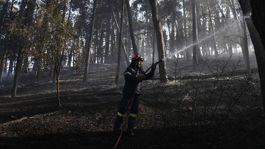 Greek Wildfire Claims Two Lives, Forces Village Evacuation