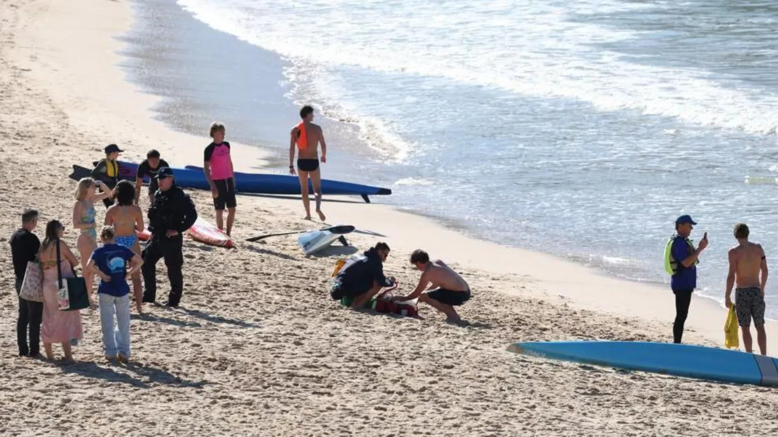 Sydney Beach: Woman Severely Injured After Shark Attack, Authorities Respond