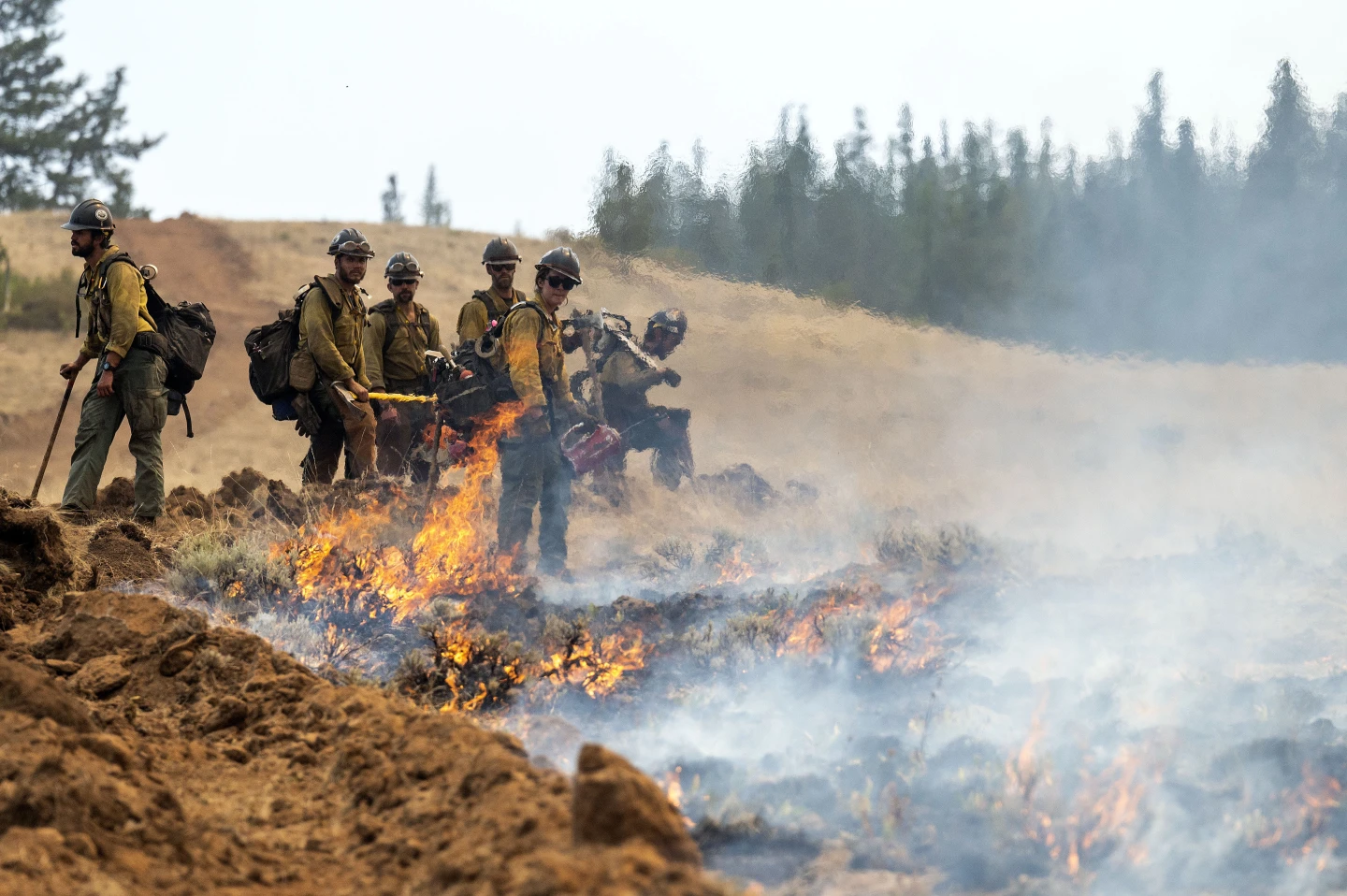 Oregon Firefighter Detained by Border Patrol During Wildfire Response