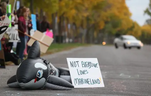 The Plight of Beluga Whales: Can They Be Saved from Euthanasia in Canada?