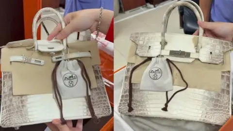Metaverse Auction: Truong My Lan's $550K Birkin Bags Sell in Virtual Bidding War