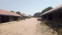 Mass Abduction Shakes Nigeria: 315 Children and Staff Kidnapped from School