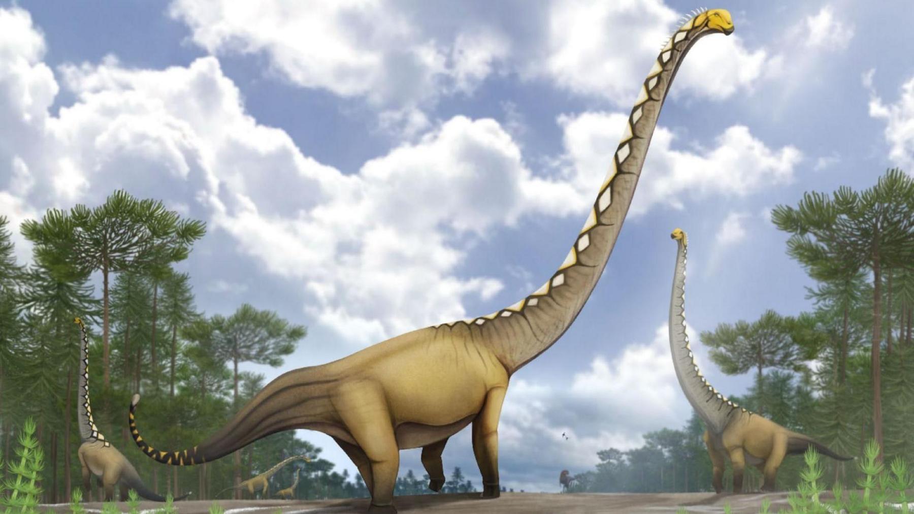 Thailand Yields Long‑Necked Dinosaur – A 66‑Foot Giant Unearthed