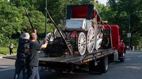Tragedy in Central Park: Teen Rider Dies in Horse-Drawn Carriage Crash