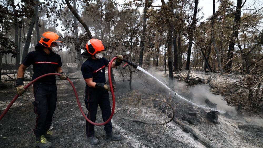 Volunteer Firefighter Suspected of Starting Devastating Fontainebleau Forest Fire